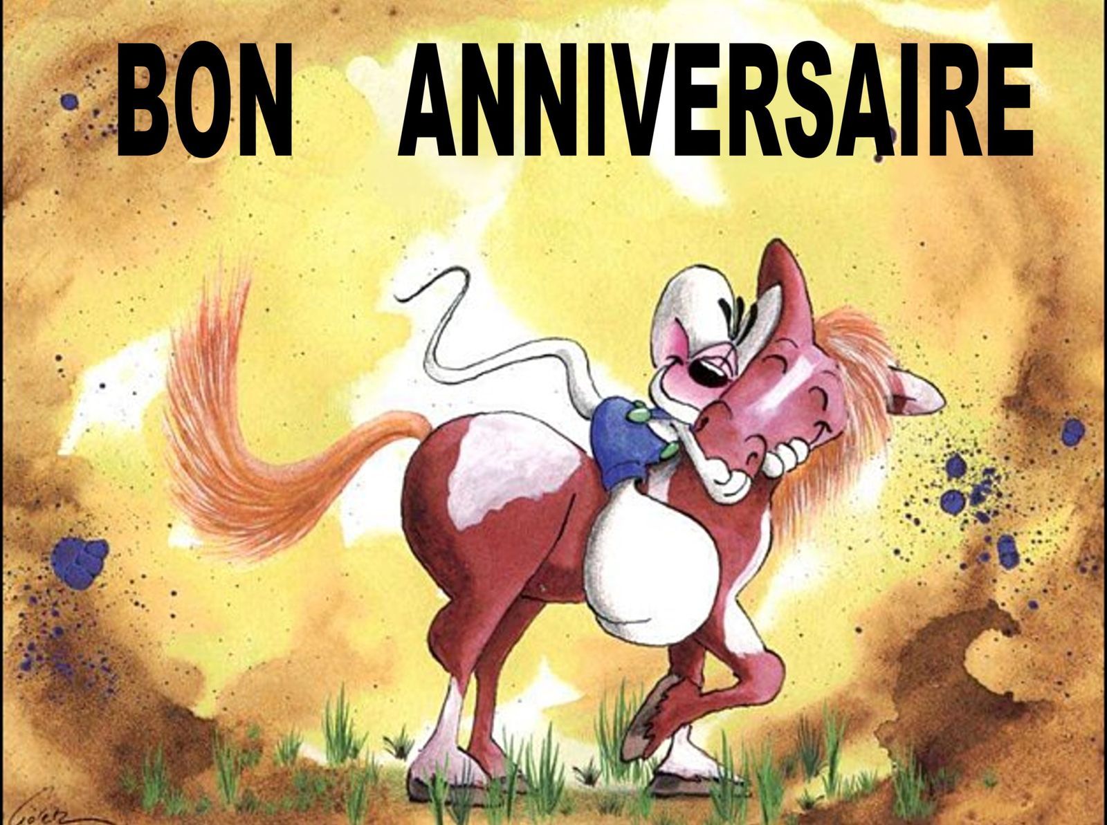 Carte Anniversaire Cheval A Imprimer Gratuite