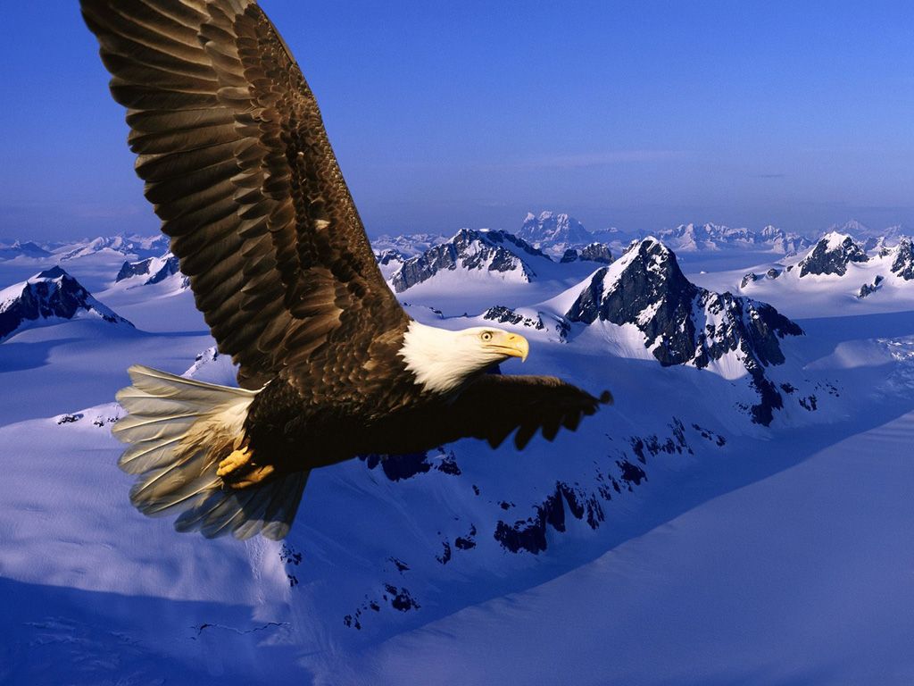 rencontres aigle