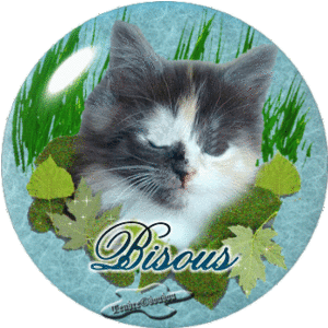 20080430155244-bisous-petit-chat-qui-ferme-les-yeux.gif