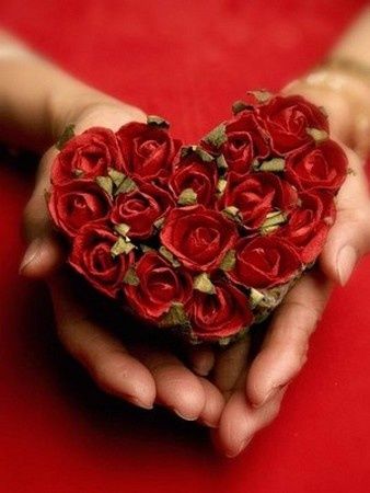 coeur-fleur-rose