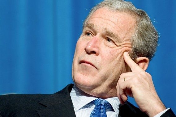 Bush.jpg