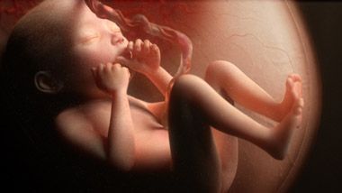 1283118279-18712.jpg