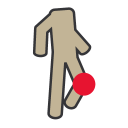 genou.gif