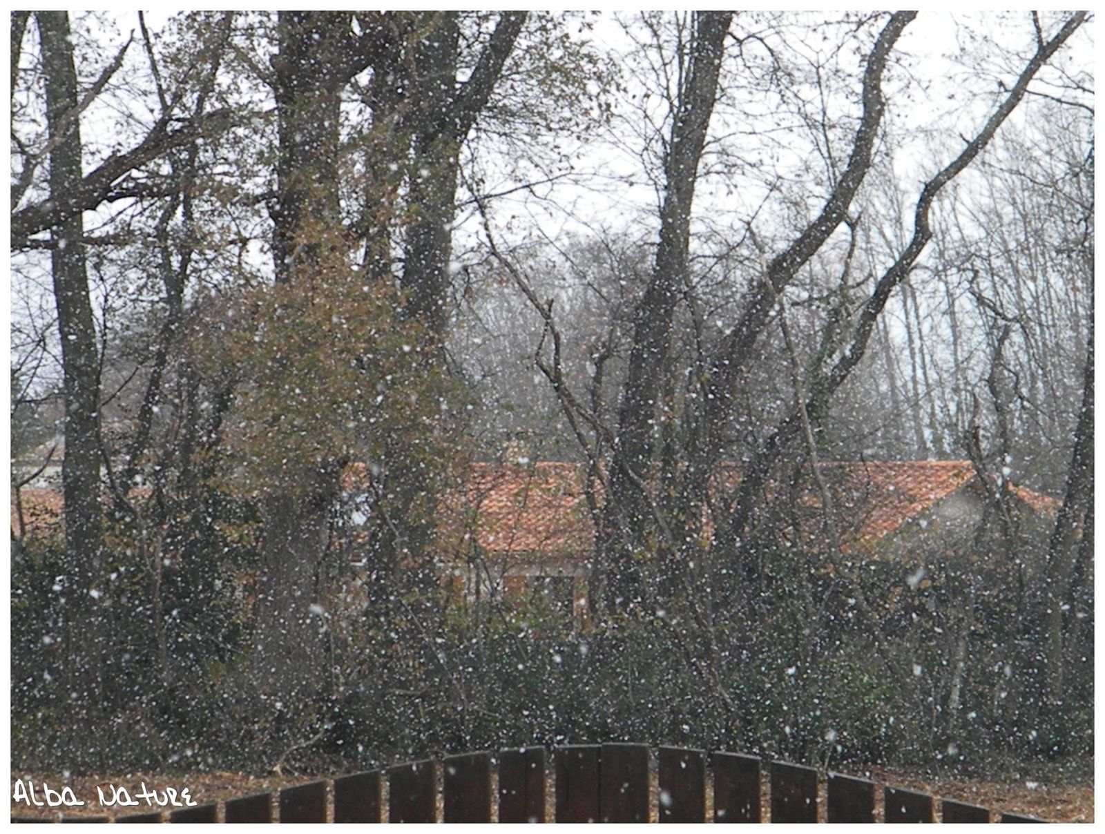 neige