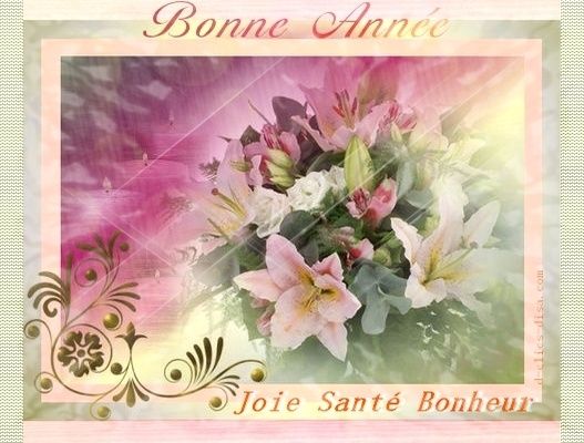 Bonne-annee-2010-6.jpg