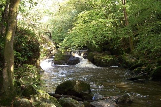 parc-naturel-regional-perigord-limousin.jpg