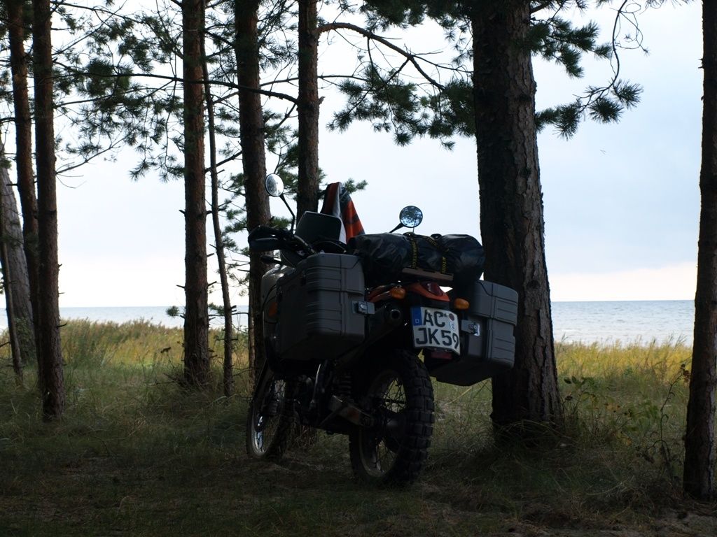 P9160490.jpg