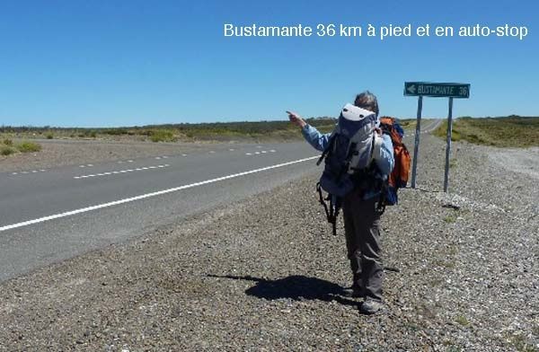 bustamante