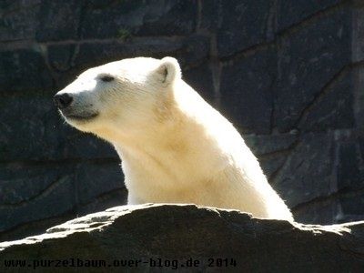 Wolodja20140704 087