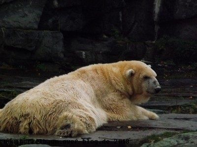 Aika20131109 089