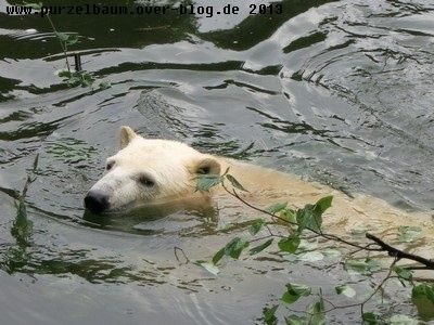 Tonja20130820 063