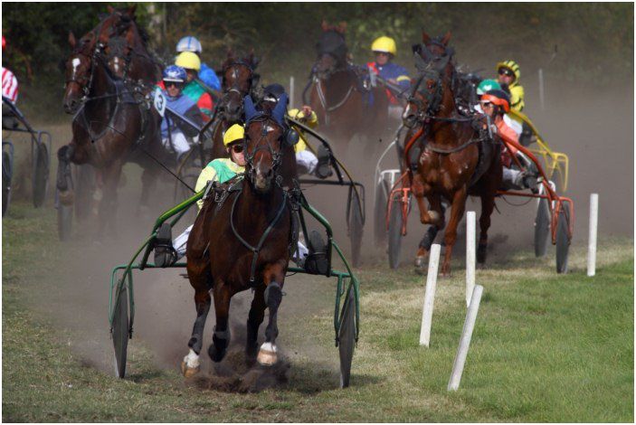 Les-Andelys-course-hippique 2811 [800x600]