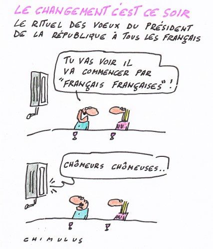 voeux-president-republique-2013-francois-hollande-dessin-hu.jpg