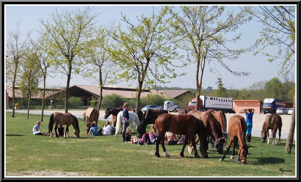 Rencontre lancon provence