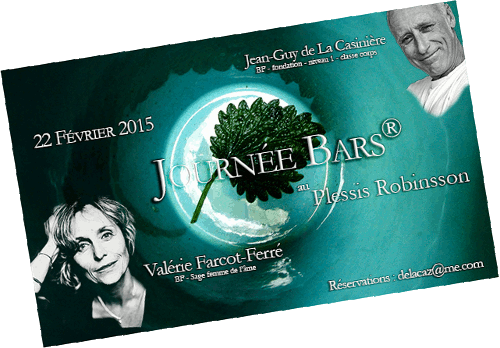 Flyer-plessis-22-fev.gif