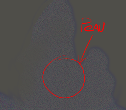 peau.PNG