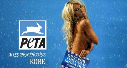 miss_penthouse_kobe_per_peta.jpg