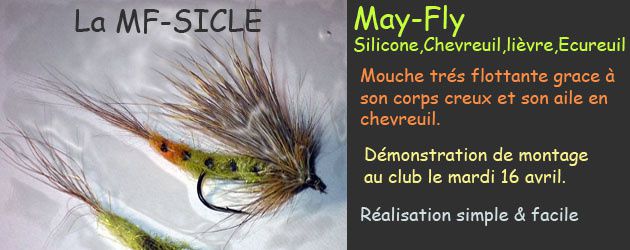 silicon mayfly CLE