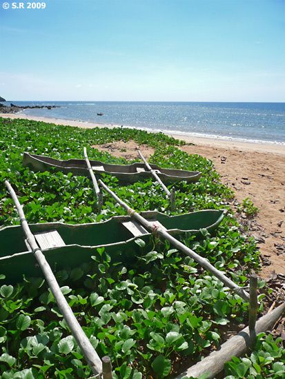 Deux pirogues posées sur une plage