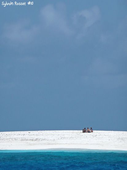 3 Robinsons sur une île déserte