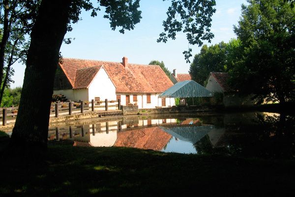 2014-8749.jpg
