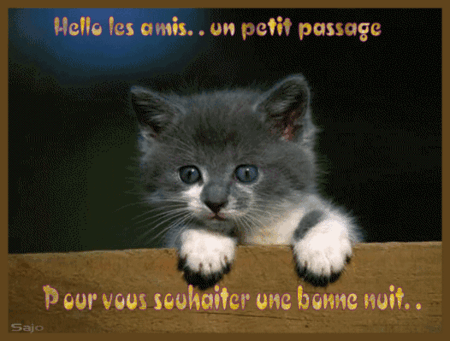 55248001_p.gif