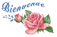bienvenue-rose.gif