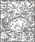 crabe 2