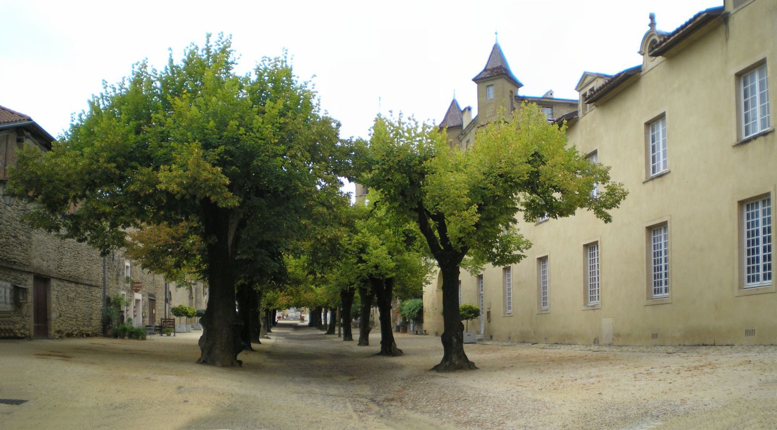 St Antoine l'Abbaye - Michel