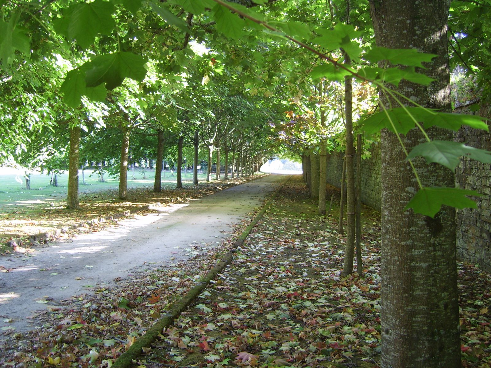 Manoir de Trélivit - Littorine