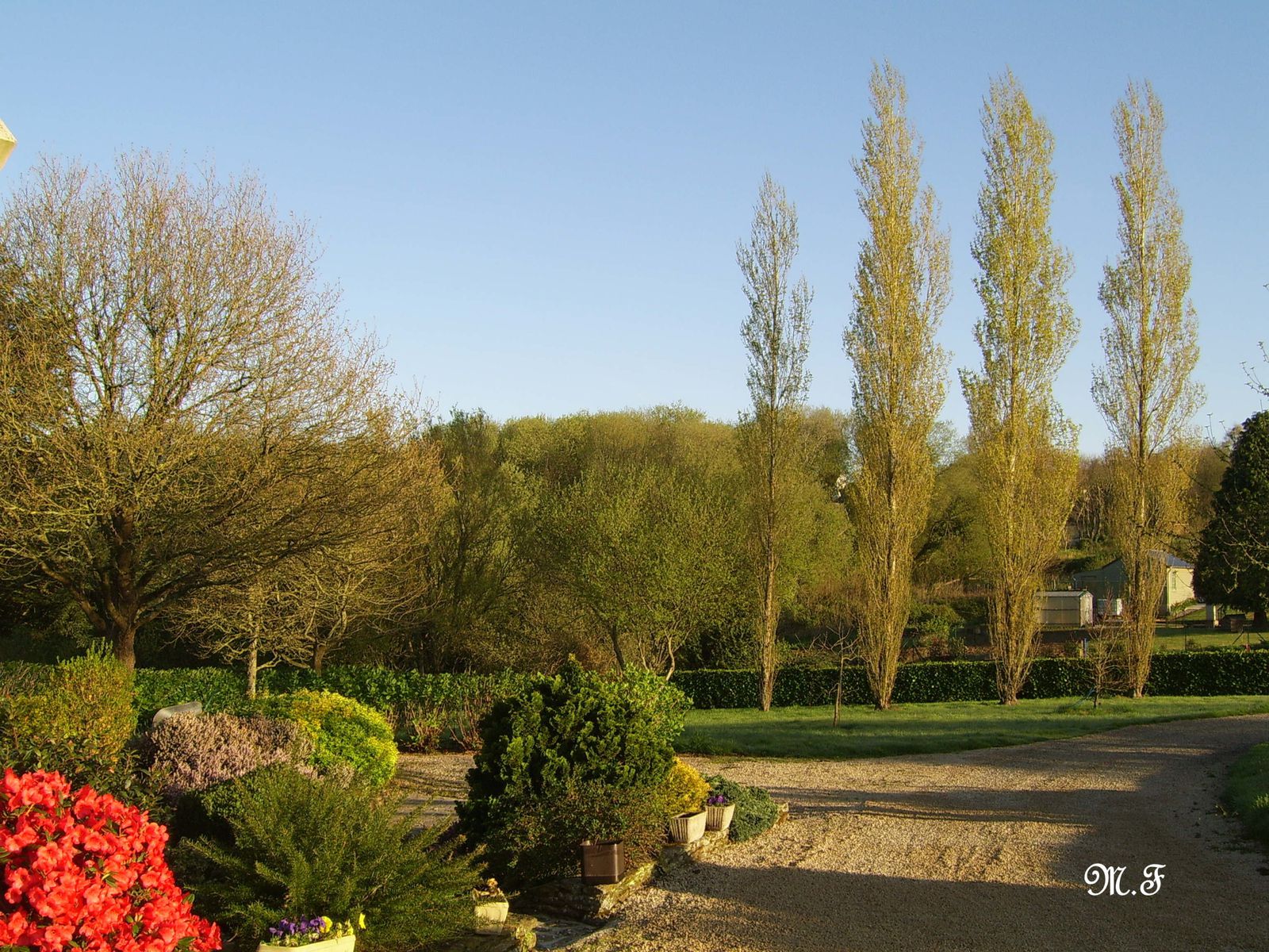 Le Jardin chez ma maman null