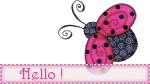 hello02gif.gif