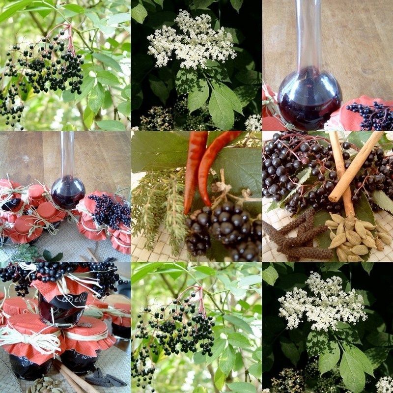 collage