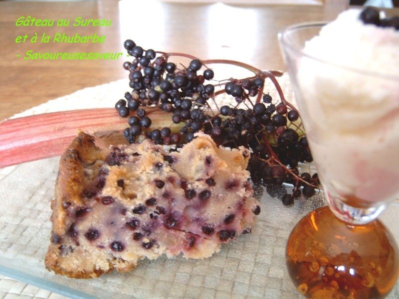 Gâteau Sureau et Rhubarbe à la Ricotta