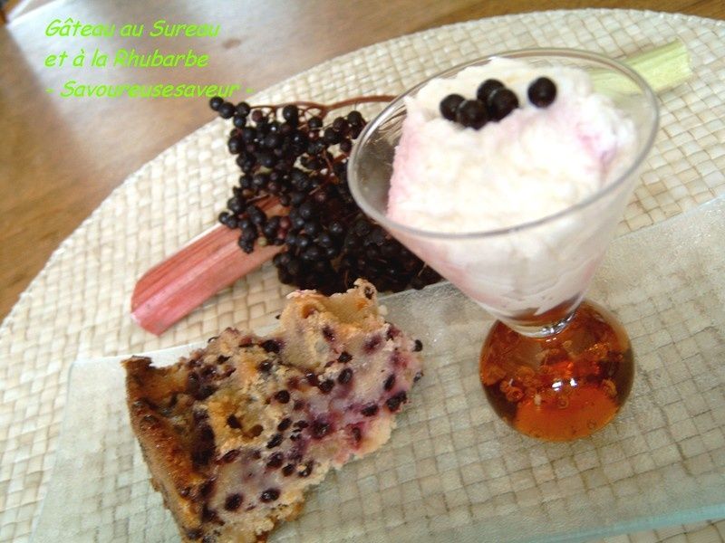 gateau_sureau_rhubarbe