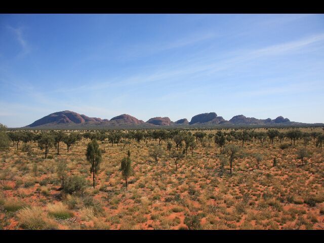 DESERT-AUSTRALIEN 0052