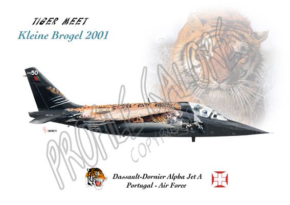 Alpha jet Tiger meet Portugal
