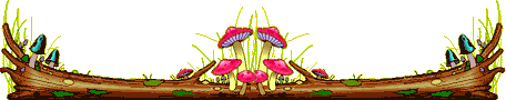 buche-champ_01.gif