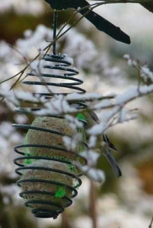 mesange neige 12 2009