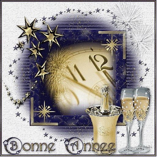Bonne année 2010