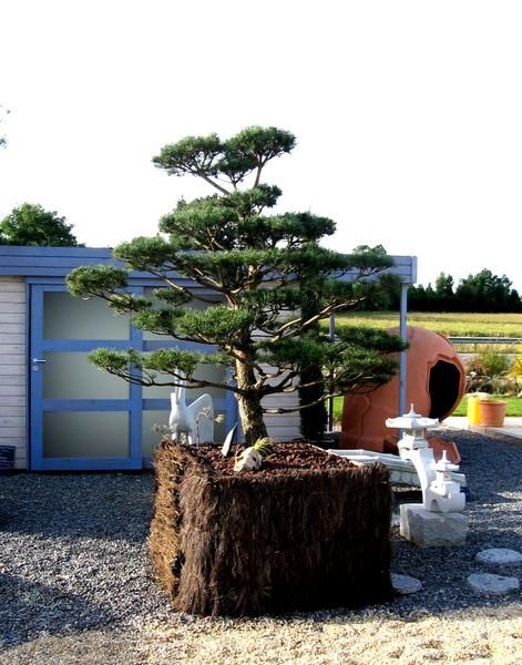 recherche rencontre japonaise