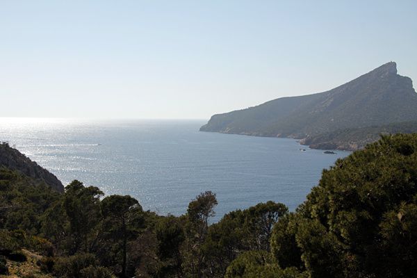 Mallorca2012-2897.jpg