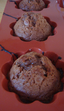 Image-3-copie-15.png