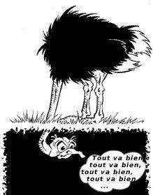 autruche5