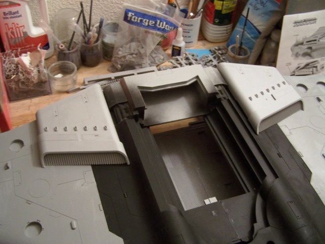 [Image: Manta--138-.JPG]