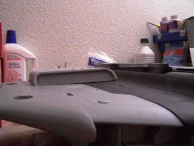 [Image: Manta--139-.JPG]