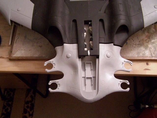 [Image: Manta--141-.JPG]