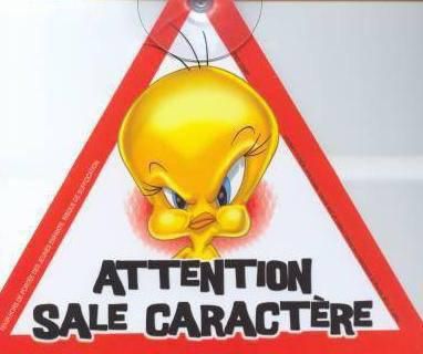 sale caractère