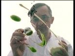 Michel Bras : L'Invention de la Cuisine - Série documentaire sur les grands chefs cuisiniers - Laguiole - kewego