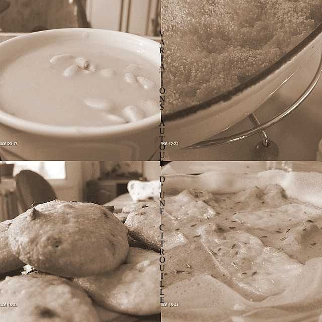 collage5